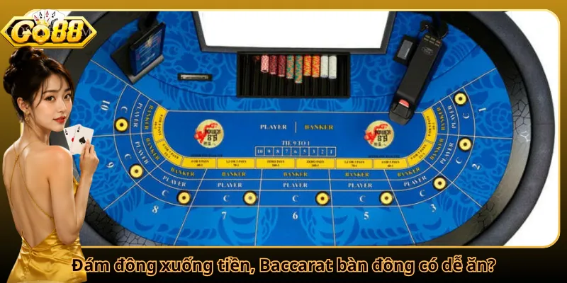 Đám đông xuống tiền, Baccarat bàn đông có dễ ăn?